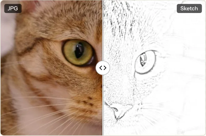 A close-up of a cat: the photo on the left, the sketch at the default settings on the right